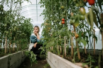 Best Vegetables to Grow in Containers and Pots