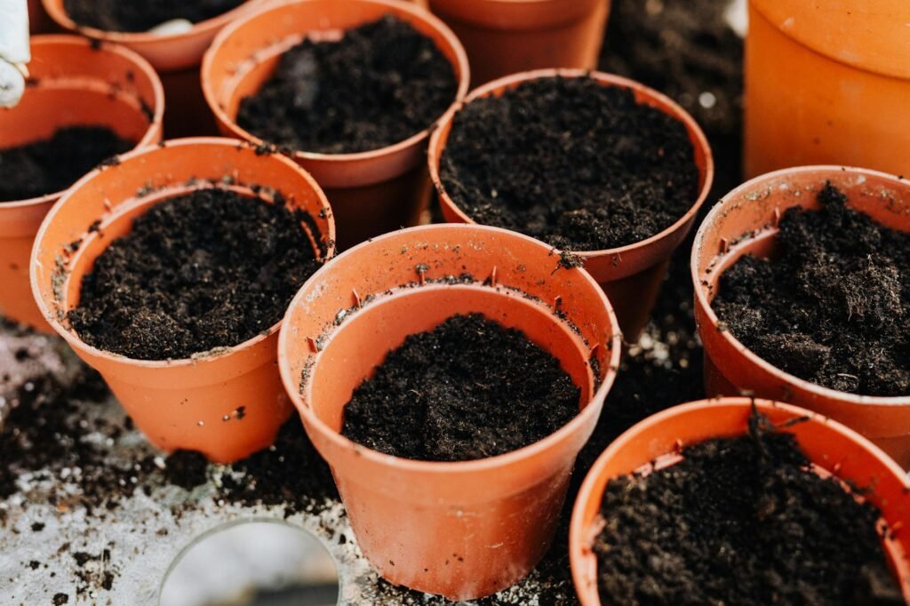 Container Gardening for Beginners: Grow Anything on Your Patio