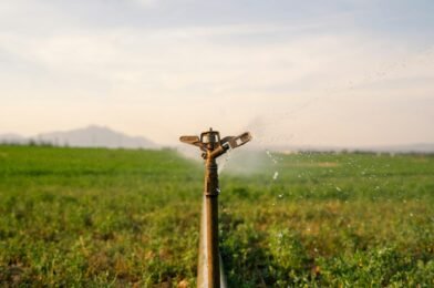 Drip Irrigation for Beginners: Save Time and Water