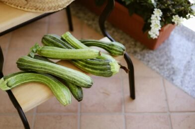 How to Grow Zucchini Without the Common Mistakes