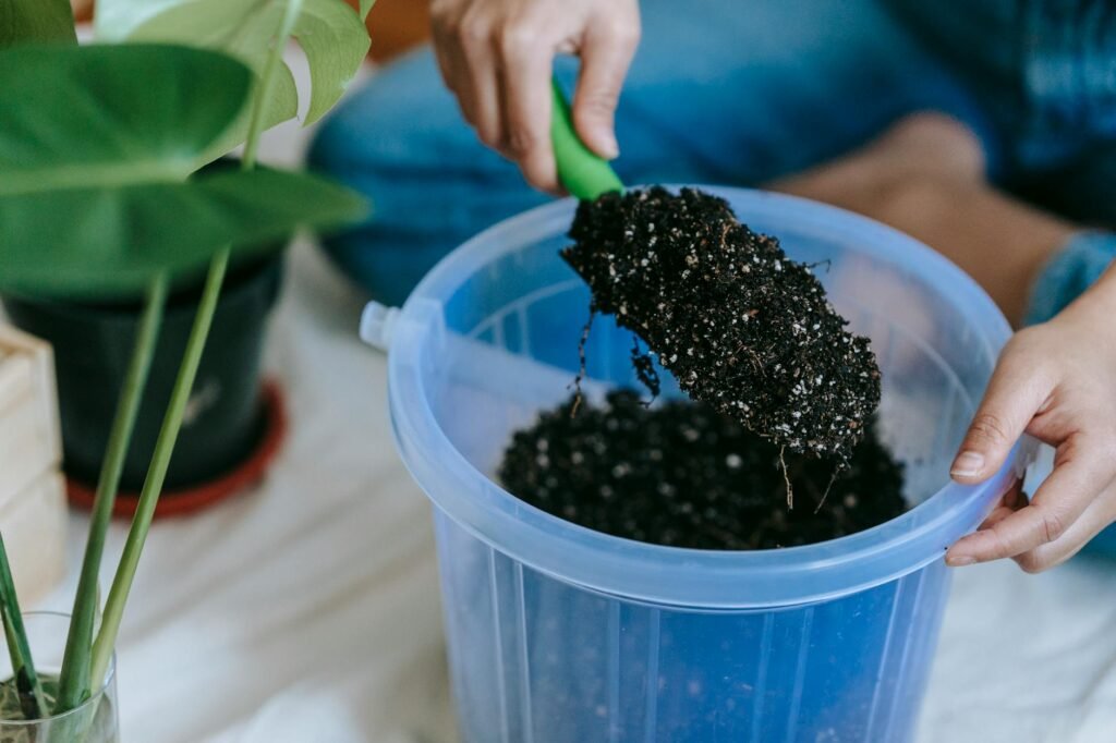 How to Improve Garden Soil Without Chemical Fertilizers