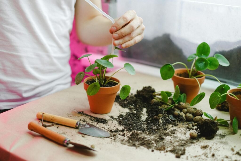 How to Test Your Garden Soil at Home