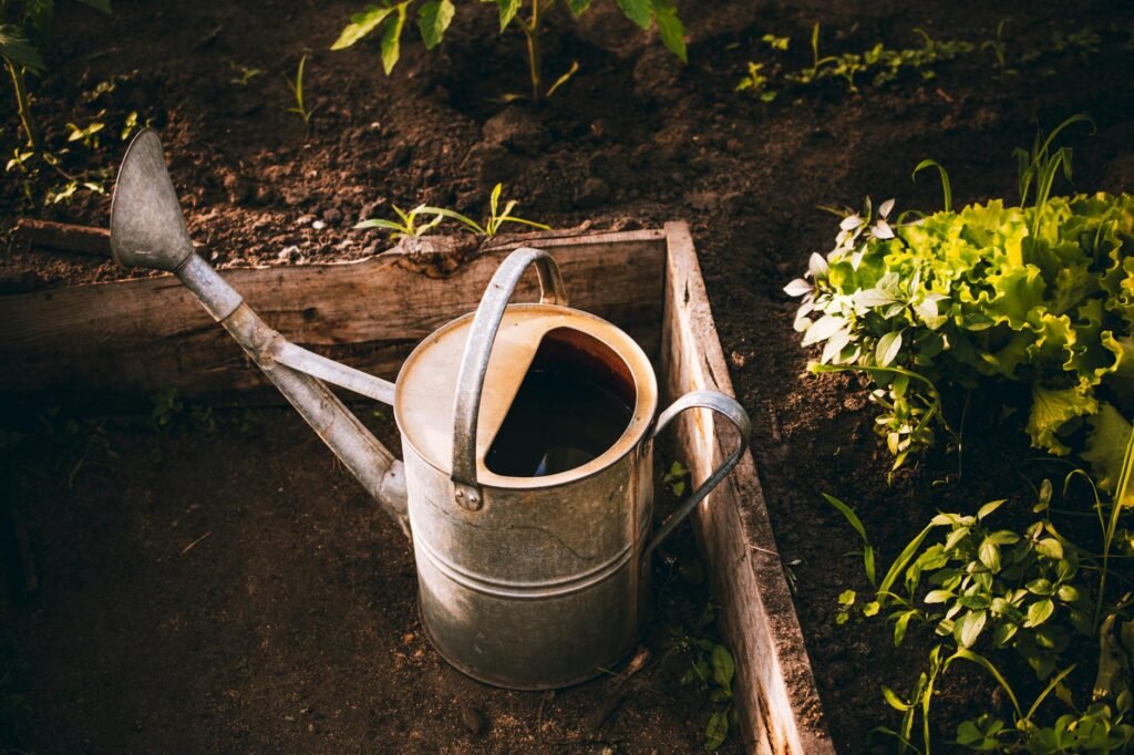 How to Water Your Garden Properly Without Wasting Water