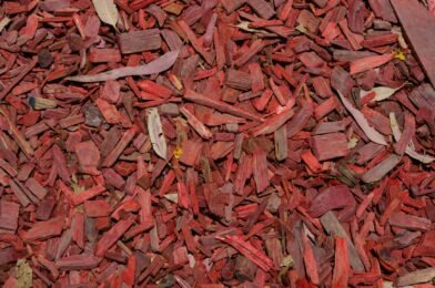 Mulching Made Simple: Why Your Plants Need It