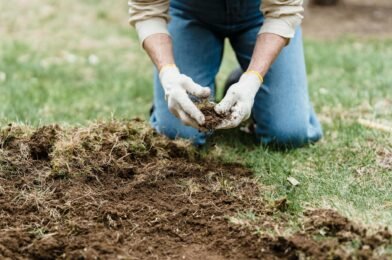 Preparing Your Garden for Winter: A Complete Guide